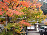 kouyou2006_12_02_2
