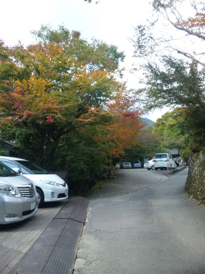 kouyou