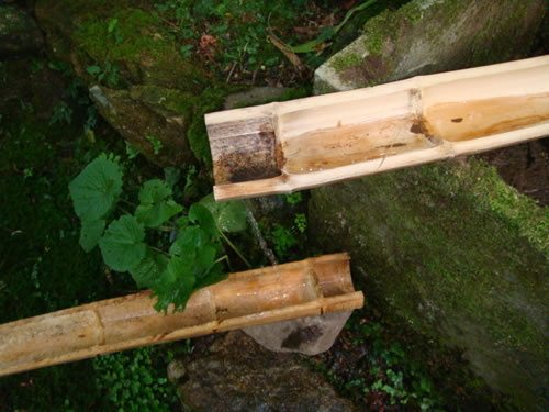 niwa