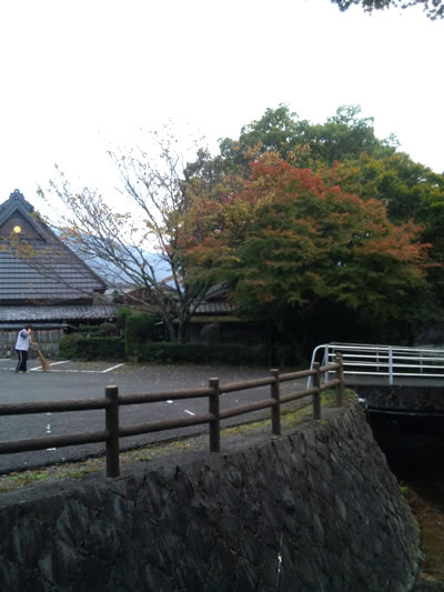 kouyou