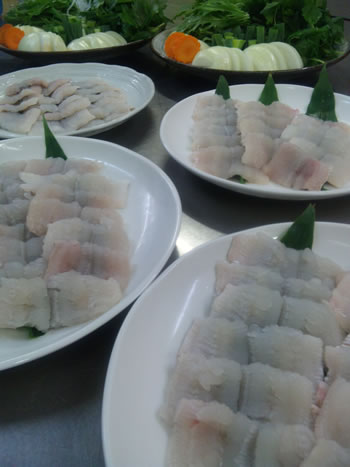 hamo