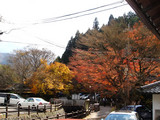 kouyou2006_11_30