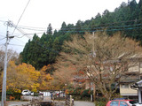 kouyou2006_12_02_1
