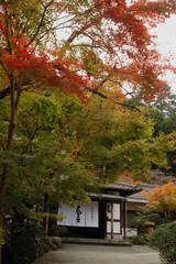 紅葉最後３