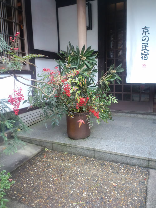 ikebana