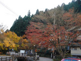 kouyou2006_11_0111