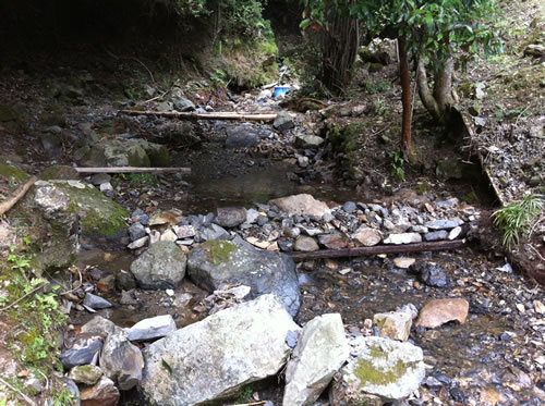 river1